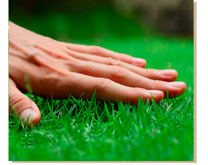 turfing services wigan