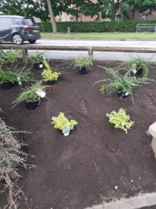 Commercial gardening contractors Wigan