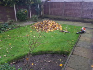 garden maintenance wigan